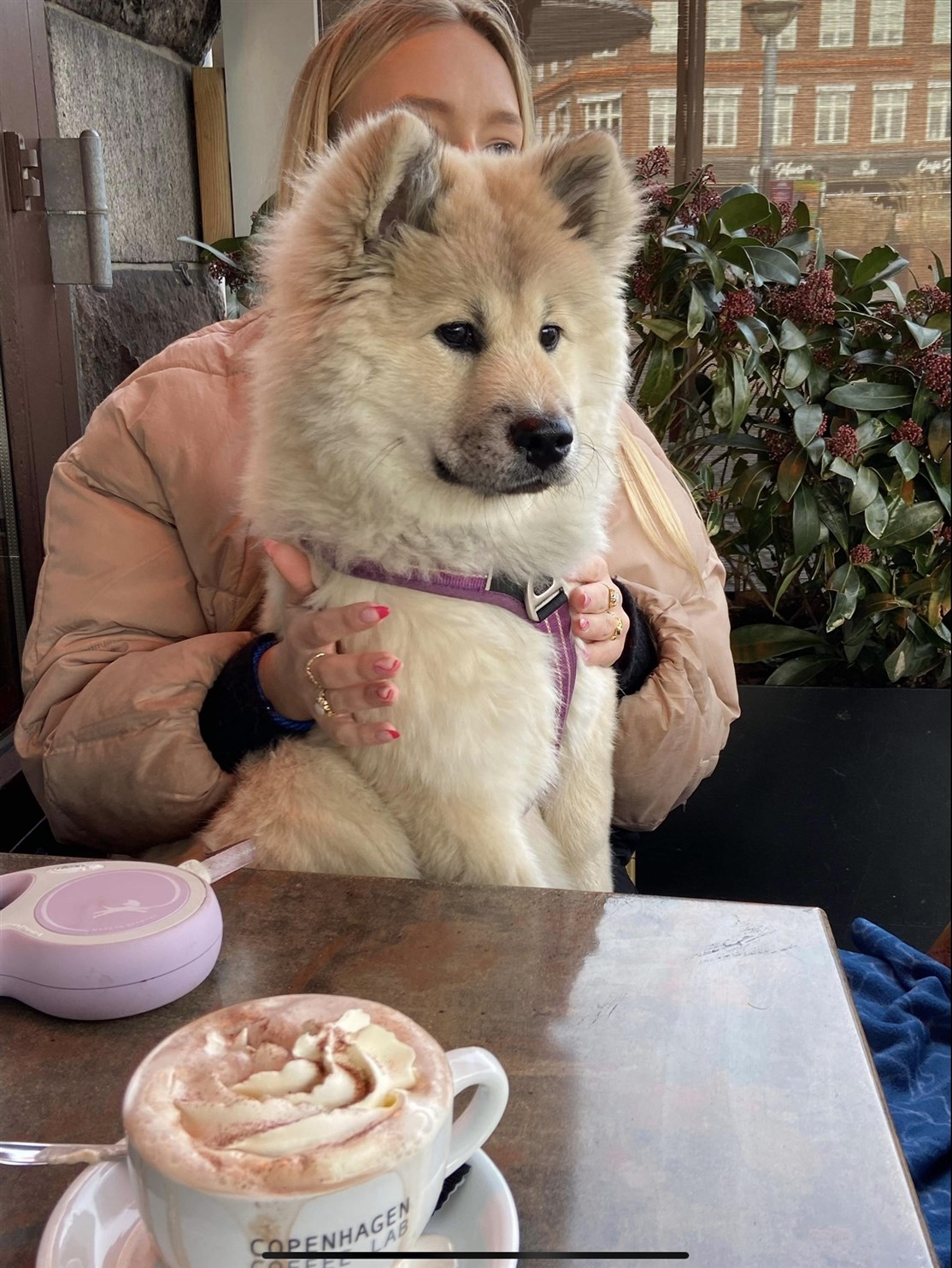 Skovhedens Wilma