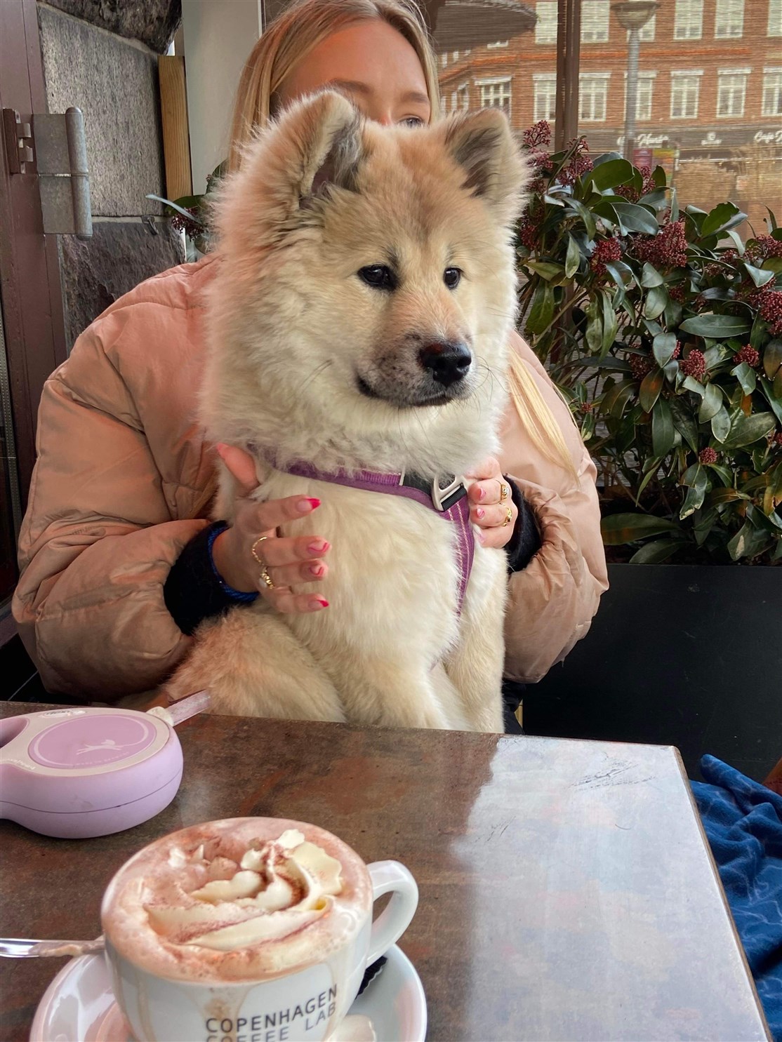 Skovhedens Wilma på Café med Frida