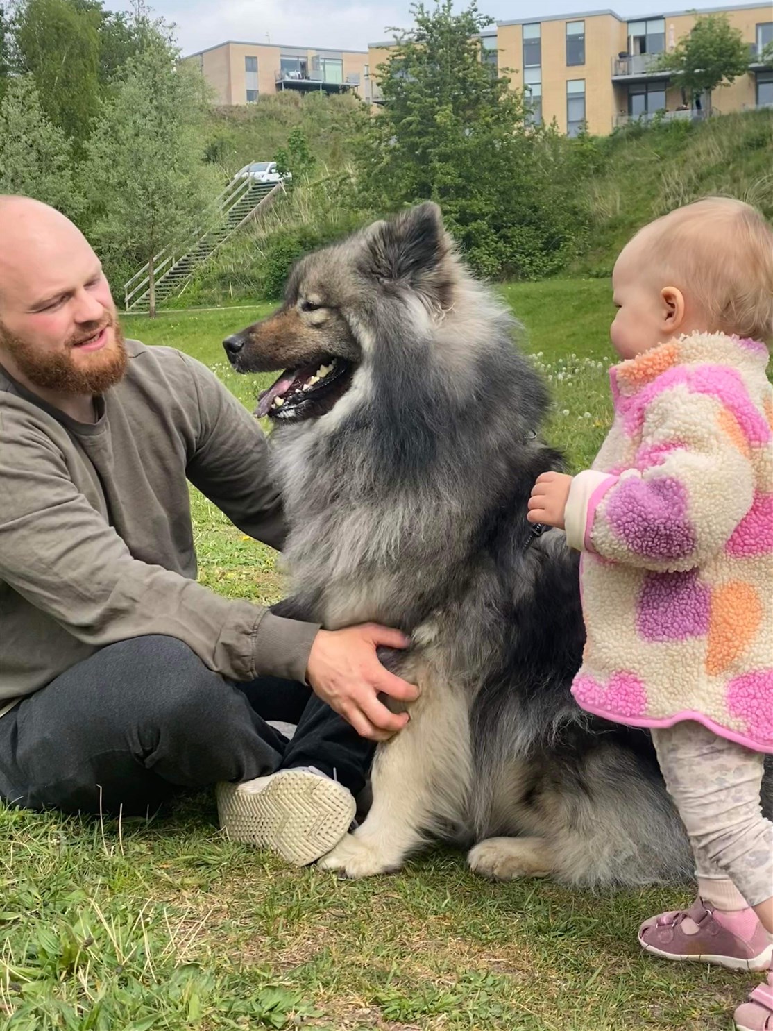 Skovhedens Anakin er blevet storebror