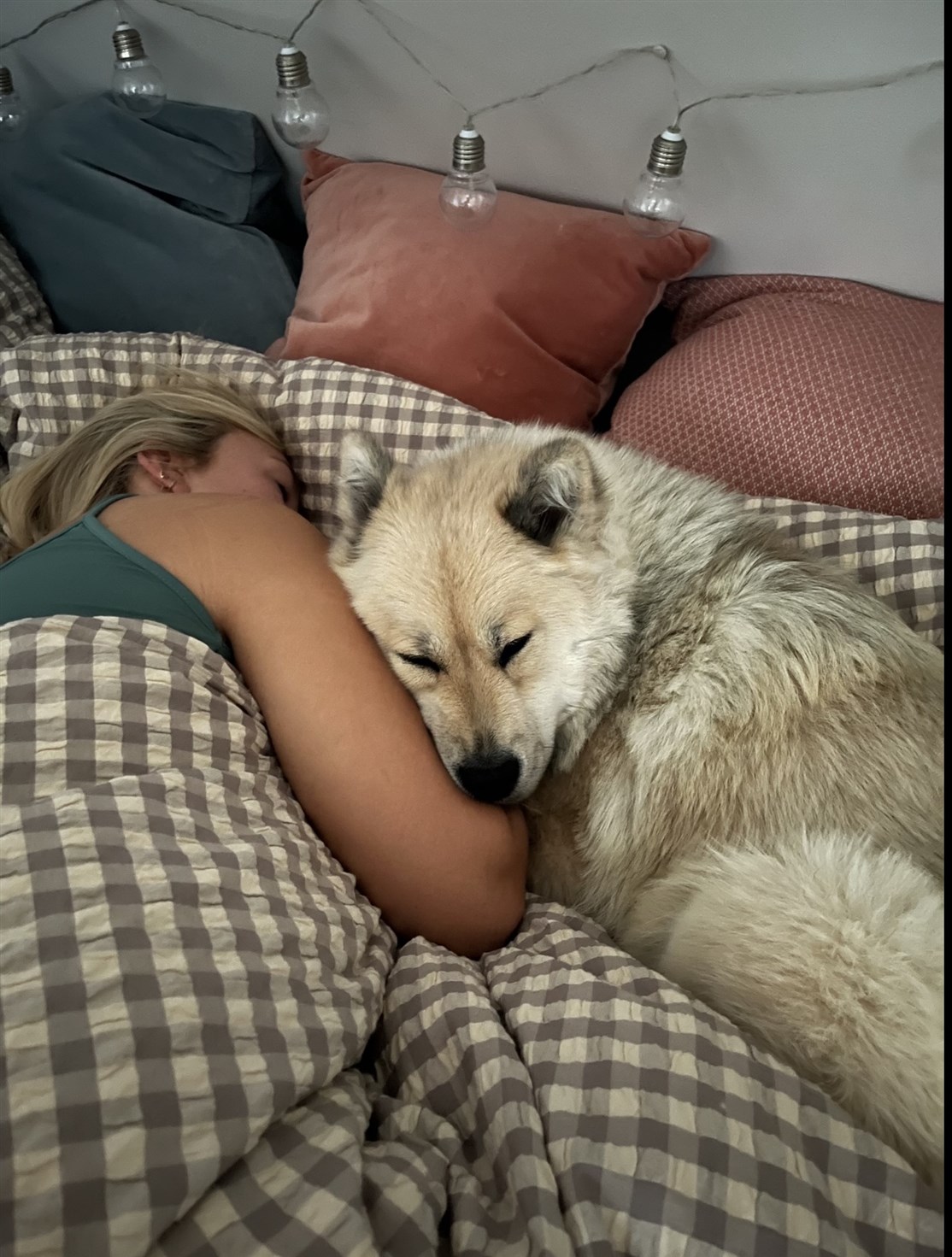 Skovhedens Wilma