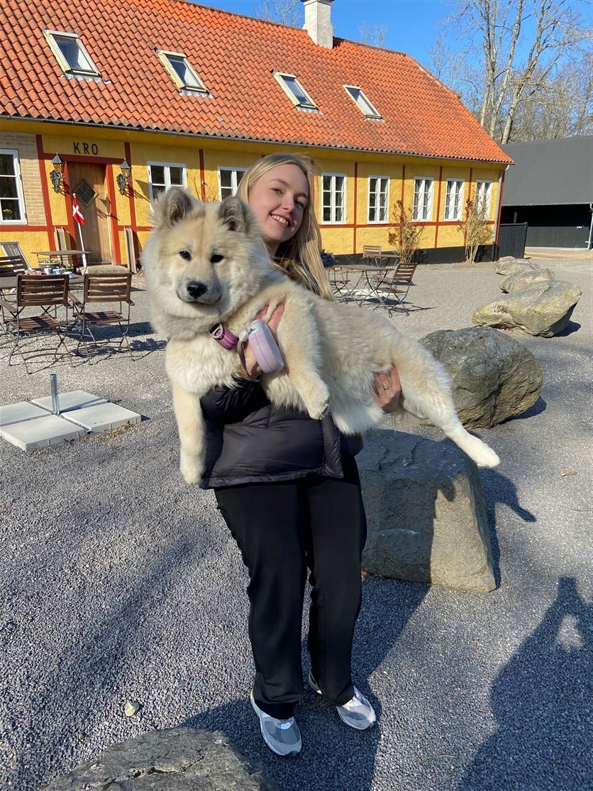 Skovhedens Wilma, "Hvorfor gå når man kan bæres" 😂
