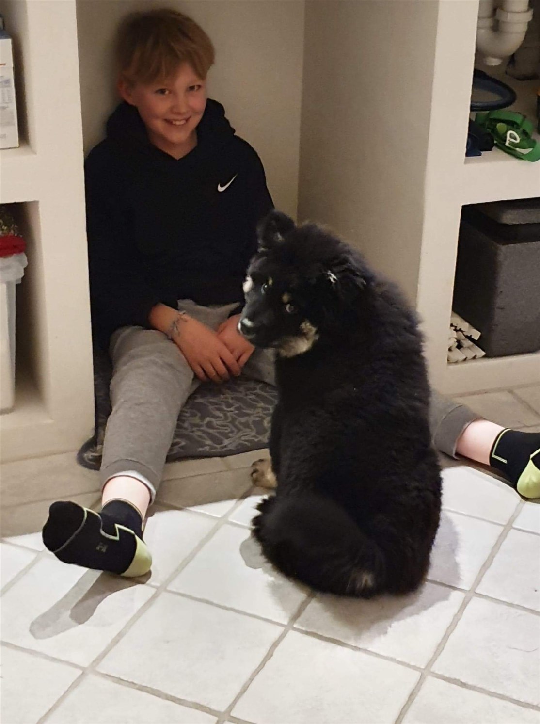 Skovhedens Chewbacca
