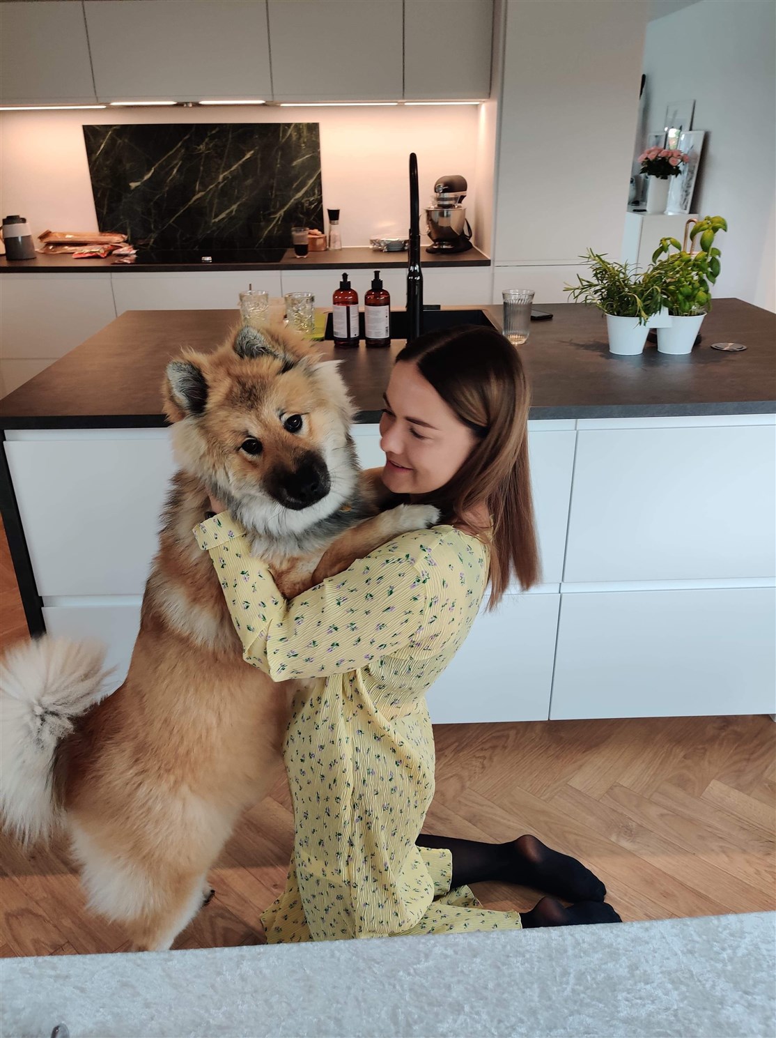 Skovhedens Akita
