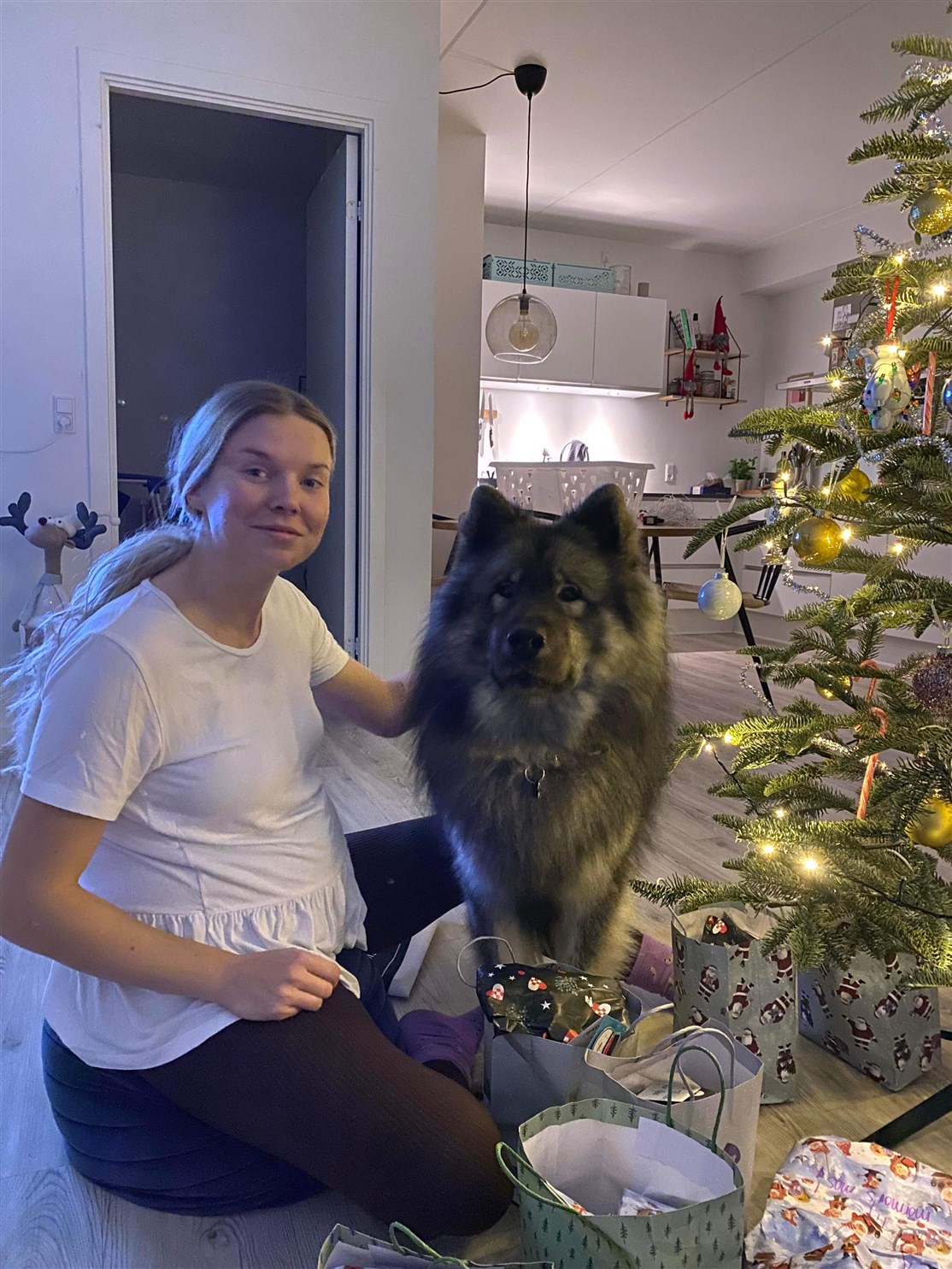 Skovhedens Anakin fejrer jul